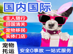 西宁航空托运国际宠物托运 【国
